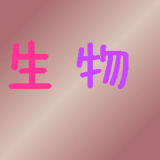 初中生学习英语助手软件