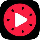 百万英雄自动搜题器软件