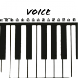 Voice Recorder(录音笔)软件