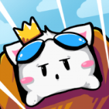 猫猫冲浪无止境