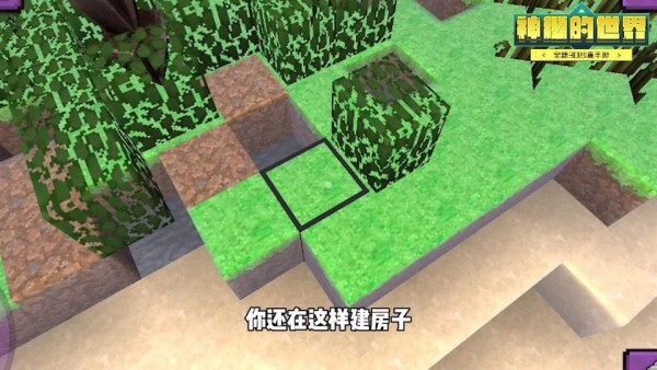 神秘的猫科牙医