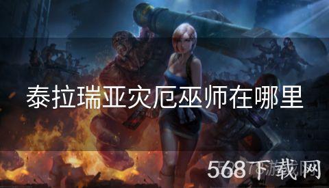泰拉瑞亚灾厄巫师在哪里