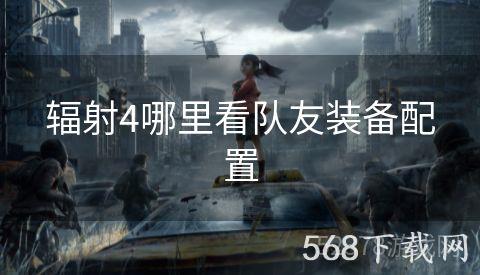 辐射4哪里看队友装备配置