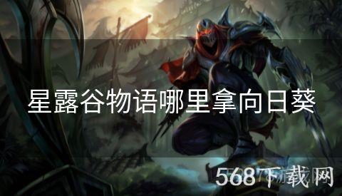 星露谷物语哪里拿向日葵