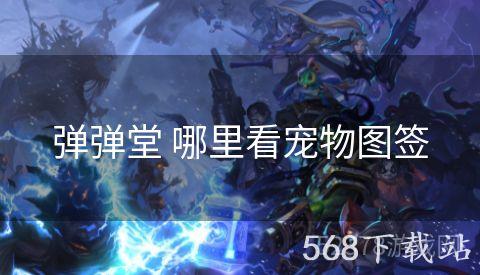 弹弹堂 哪里看宠物图签