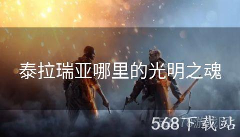 泰拉瑞亚哪里的光明之魂