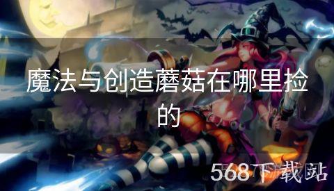 魔法与创造蘑菇在哪里捡的