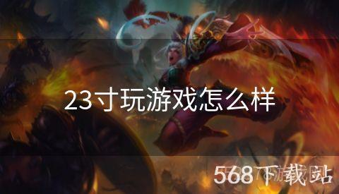 23寸玩游戏怎么样