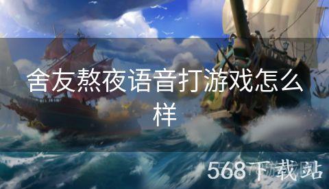 舍友熬夜语音打游戏怎么样