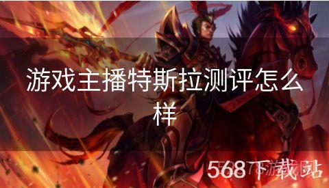 游戏主播特斯拉测评怎么样