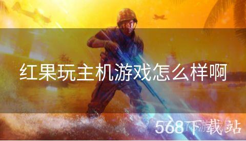 红果玩主机游戏怎么样啊