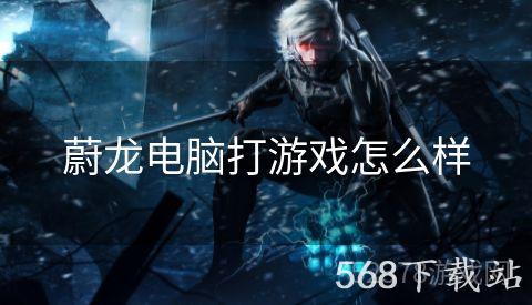 蔚龙电脑打游戏怎么样