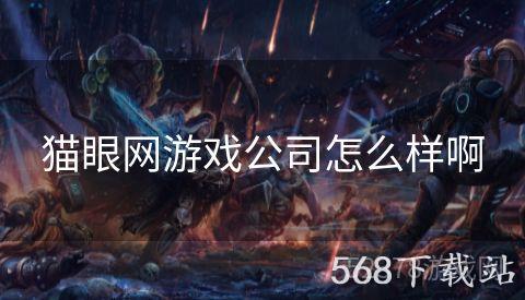 猫眼网游戏公司怎么样啊