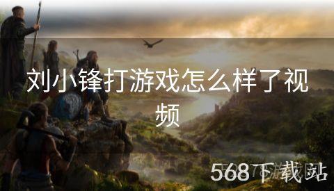 刘小锋打游戏怎么样了视频